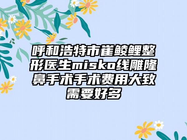 呼和浩特市崔鲮鲤整形医生misko线雕隆鼻手术手术费用大致需要好多