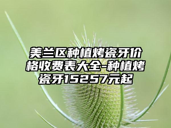 美兰区种植烤瓷牙价格收费表大全-种植烤瓷牙15257元起
