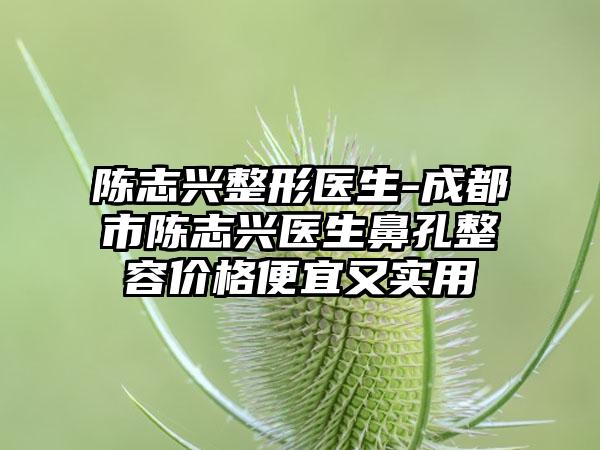 陈志兴整形医生-成都市陈志兴医生鼻孔整容价格便宜又实用