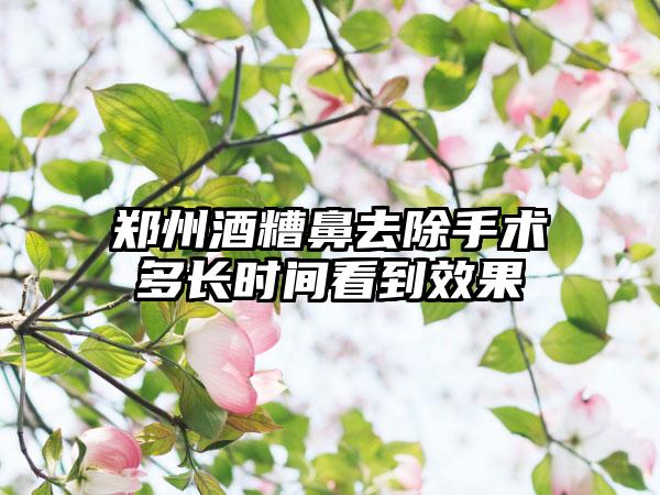 郑州酒糟鼻去除手术多长时间看到效果