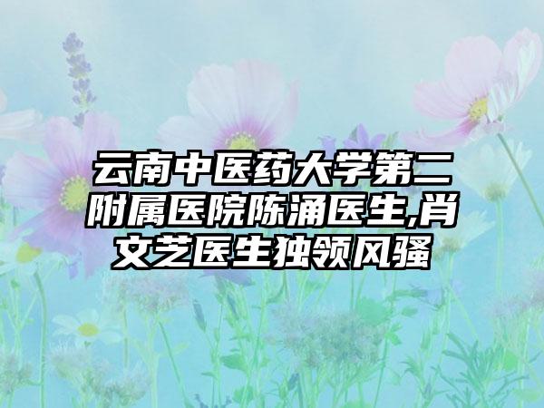 云南中医药大学第二附属医院陈涌医生,肖文芝医生独领风骚