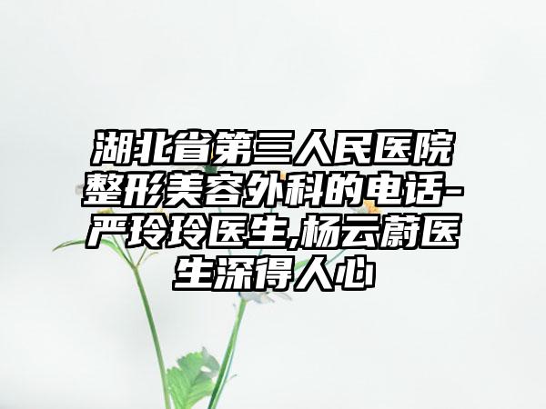 湖北省第三人民医院整形美容外科的电话-严玲玲医生,杨云蔚医生深得人心