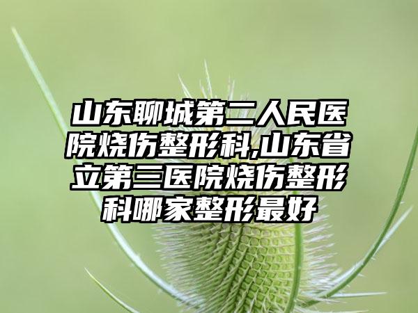 山东聊城第二人民医院烧伤整形科,山东省立第三医院烧伤整形科哪家整形最好