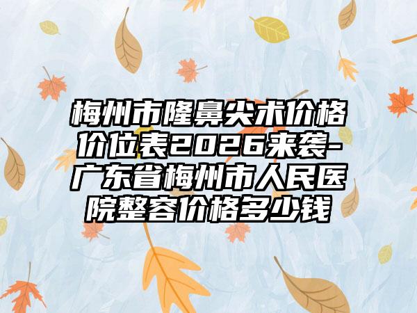 梅州市隆鼻尖术价格价位表2026来袭-广东省梅州市人民医院整容价格多少钱