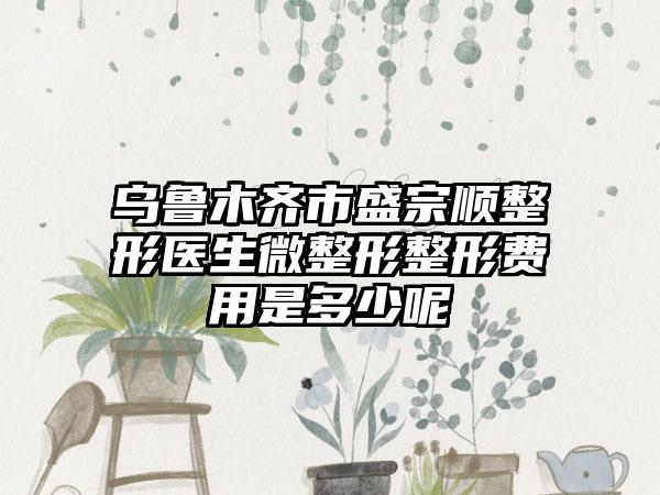 乌鲁木齐市盛宗顺整形医生微整形整形费用是多少呢