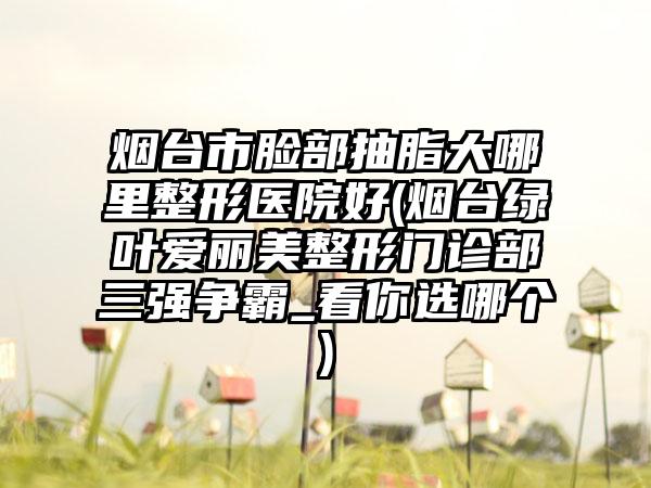烟台市脸部抽脂大哪里整形医院好(烟台绿叶爱丽美整形门诊部三强争霸_看你选哪个)