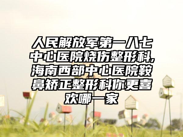 人民解放军第一八七中心医院烧伤整形科,海南西部中心医院鞍鼻矫正整形科你更喜欢哪一家
