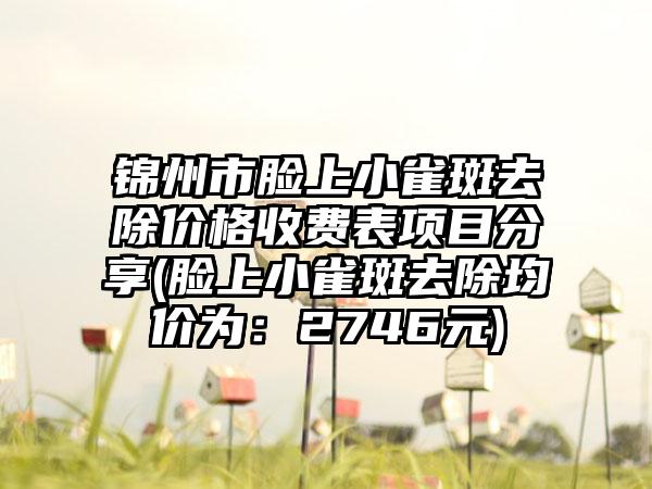 锦州市脸上小雀斑去除价格收费表项目分享(脸上小雀斑去除均价为：2746元)