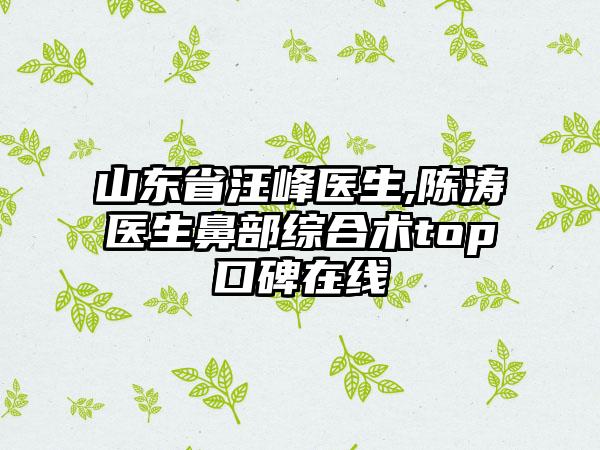 山东省汪峰医生,陈涛医生鼻部综合术top口碑在线