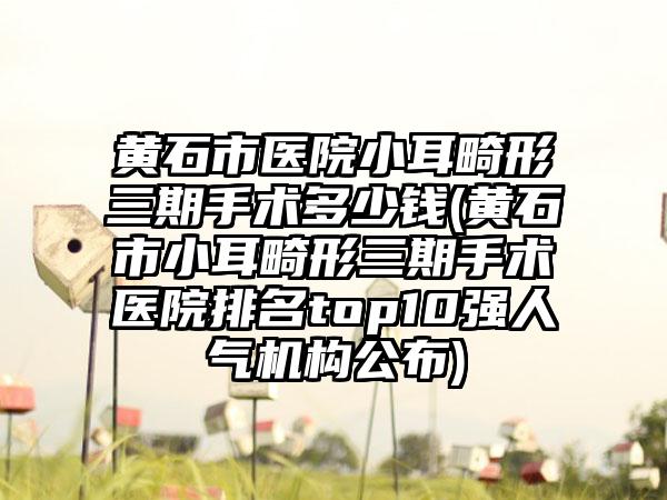 黄石市医院小耳畸形三期手术多少钱(黄石市小耳畸形三期手术医院排名top10强人气机构公布)