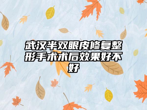 武汉半双眼皮修复整形手术术后效果好不好