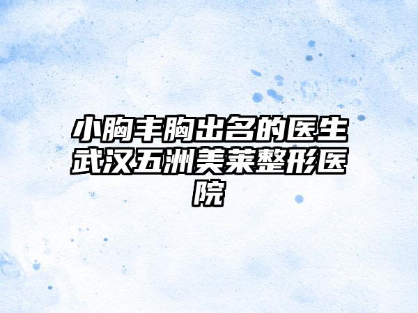小胸丰胸出名的医生武汉五洲美莱整形医院