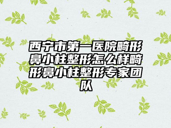 西宁市第一医院畸形鼻小柱整形怎么样畸形鼻小柱整形专家团队