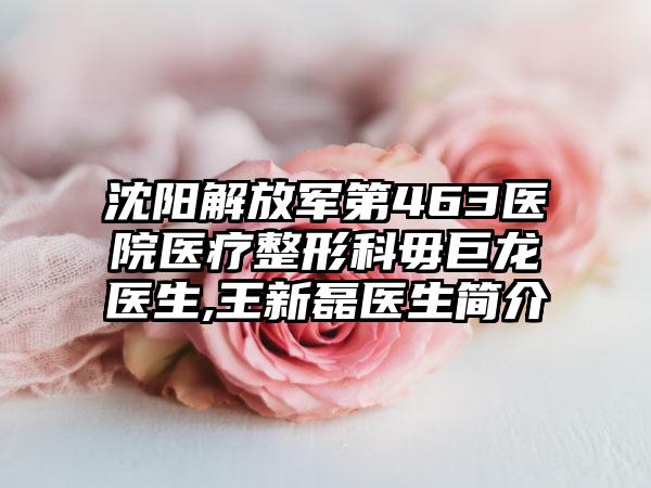 沈阳解放军第463医院医疗整形科毋巨龙医生,王新磊医生简介