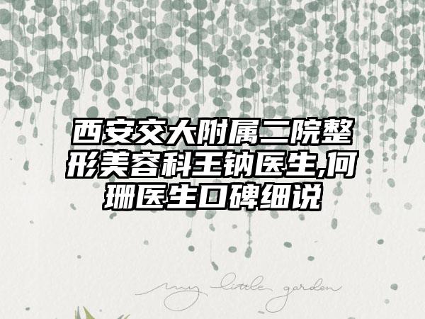 西安交大附属二院整形美容科王钠医生,何珊医生口碑细说