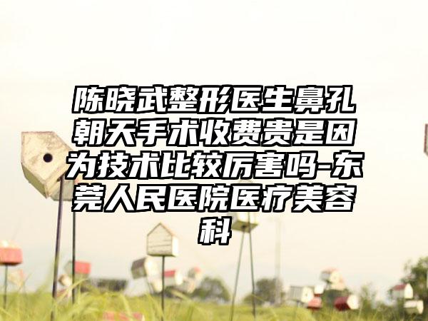 陈晓武整形医生鼻孔朝天手术收费贵是因为技术比较厉害吗-东莞人民医院医疗美容科