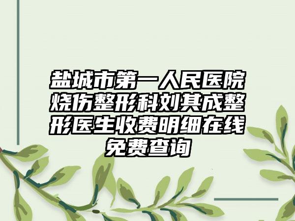 盐城市第一人民医院烧伤整形科刘其成整形医生收费明细在线免费查询