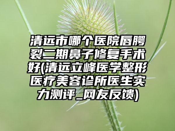 清远市哪个医院唇腭裂二期鼻子修复手术好(清远立峰医学整形医疗美容诊所医生实力测评_网友反馈)
