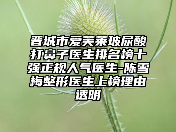 晋城市爱芙莱玻尿酸打鼻子医生排名榜十强正规人气医生-陈雪梅整形医生上榜理由透明