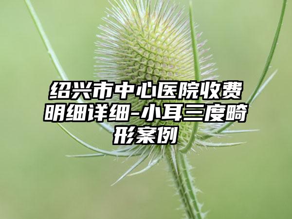 绍兴市中心医院收费明细详细-小耳三度畸形案例