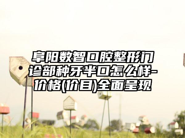 阜阳数智口腔整形门诊部种牙半口怎么样-价格(价目)全面呈现