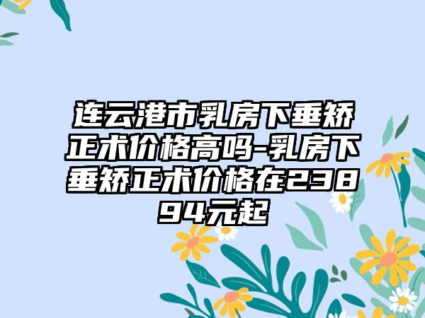 连云港市乳房下垂矫正术价格高吗-乳房下垂矫正术价格在23894元起