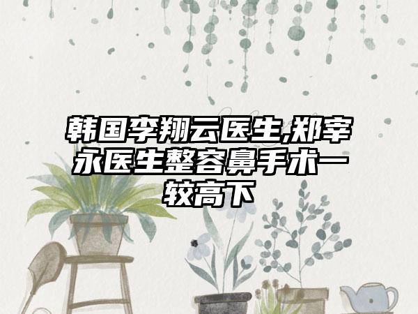 韩国李翔云医生,郑宰永医生整容鼻手术一较高下