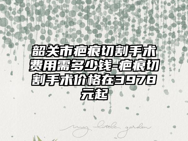 韶关市疤痕切割手术费用需多少钱-疤痕切割手术价格在3978元起