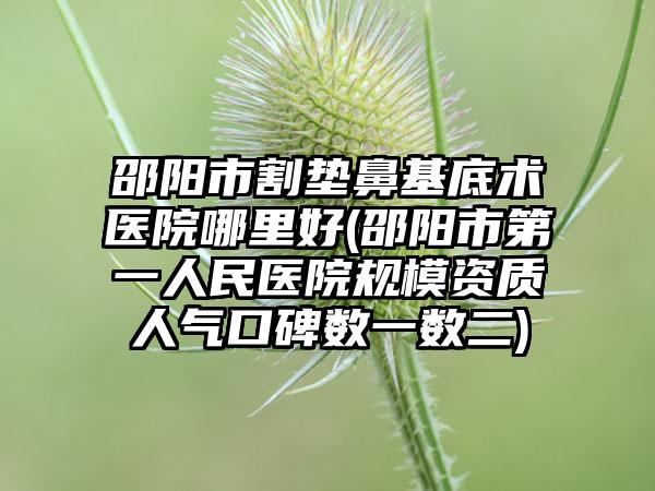 邵阳市割垫鼻基底术医院哪里好(邵阳市第一人民医院规模资质人气口碑数一数二)