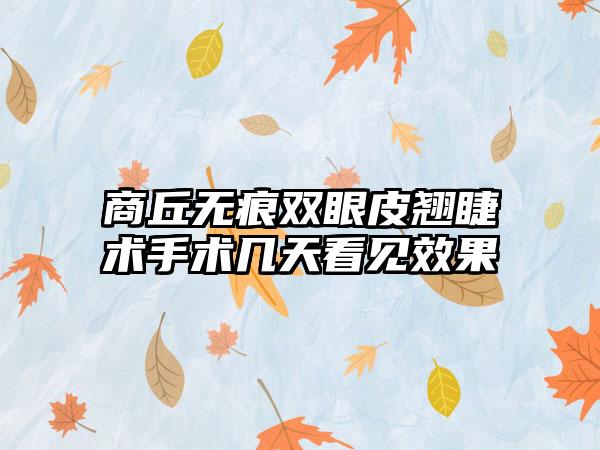 商丘无痕双眼皮翘睫术手术几天看见效果