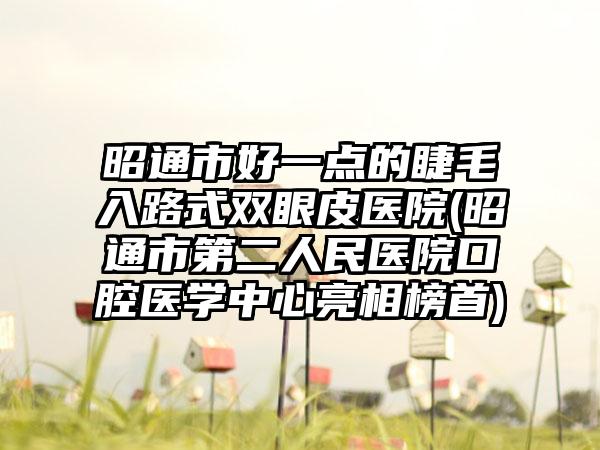 昭通市好一点的睫毛入路式双眼皮医院(昭通市第二人民医院口腔医学中心亮相榜首)