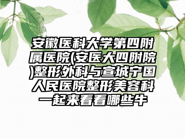 安徽医科大学第四附属医院(安医大四附院)整形外科与宣城宁国人民医院整形美容科一起来看看哪些牛