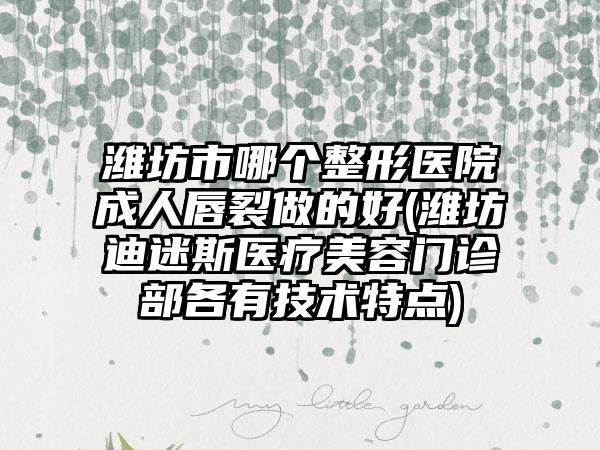 潍坊市哪个整形医院成人唇裂做的好(潍坊迪迷斯医疗美容门诊部各有技术特点)