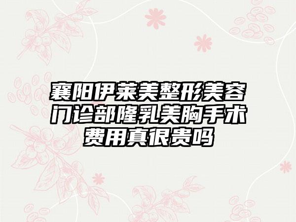 襄阳伊莱美整形美容门诊部隆乳美胸手术费用真很贵吗