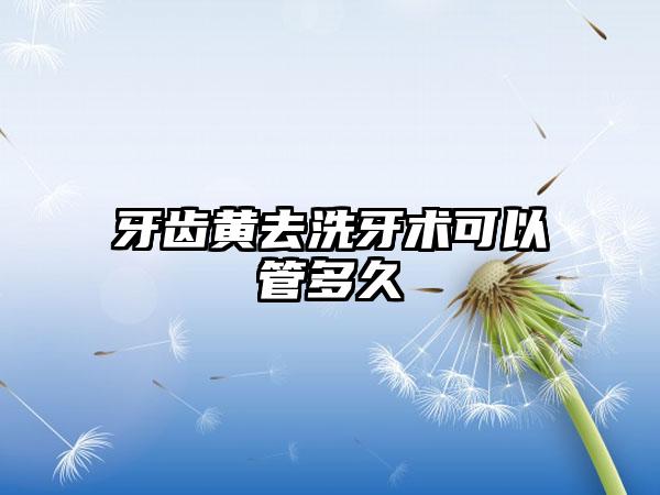 牙齿黄去洗牙术可以管多久